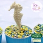 Preview: Silicone Mould - Seahorses